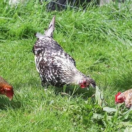 Gite A La Ferme Questembert Exterior photo